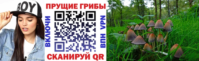 Псилоцибиновые грибы мухоморы Лагань
